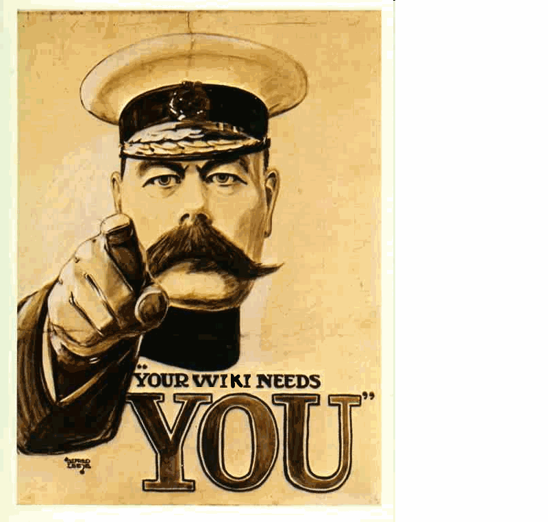 Your Wiki Needs You.png