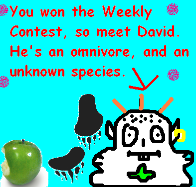 Weekly contest.PNG